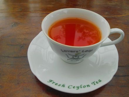 「Dream Planet～oumiのぐるーりとジャーニー」vol.9