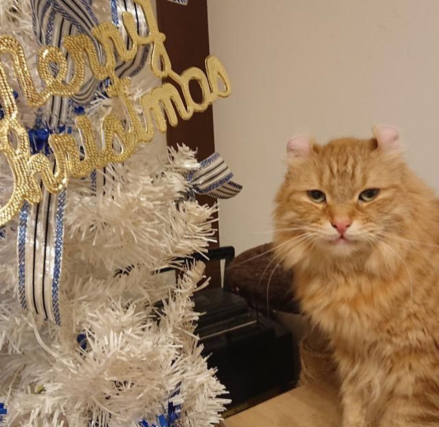 今日のテーマは『夜行バス・長距離バス』！