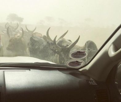 6月6日（火）【今日の一コマ】