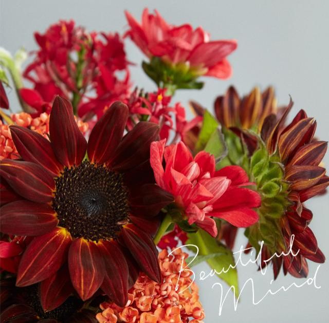 今週のおすトラ！は・・・