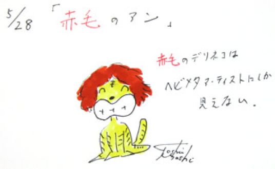 ５月２８日（火）のデイリーフライヤー