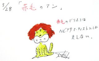 ５月２８日（火）のデイリーフライヤー