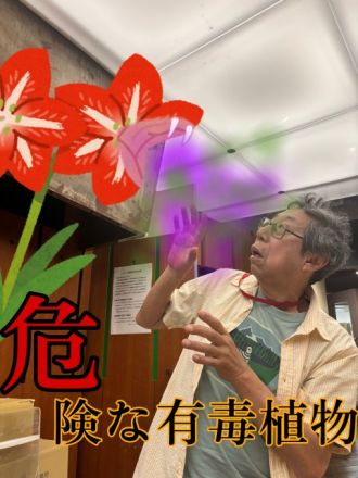 危険な有毒植物