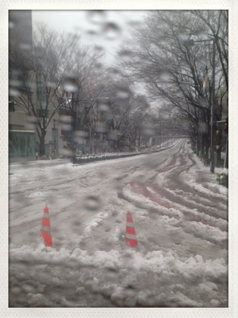 藤井悠のいただき＠大変だったー・・・