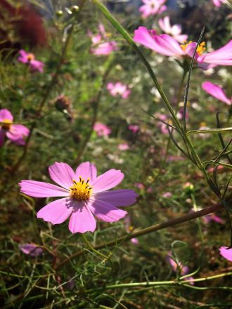 10月15日（木）今日の1コマ