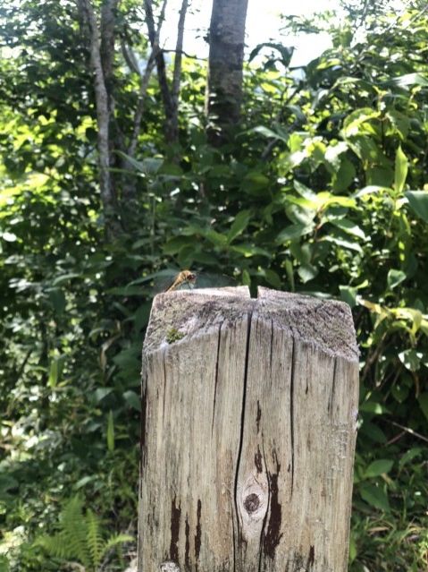 8月16日（月）　今日の1コマ