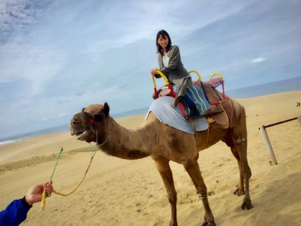 第13回『突撃！となりの佐藤千晶』鳥取編