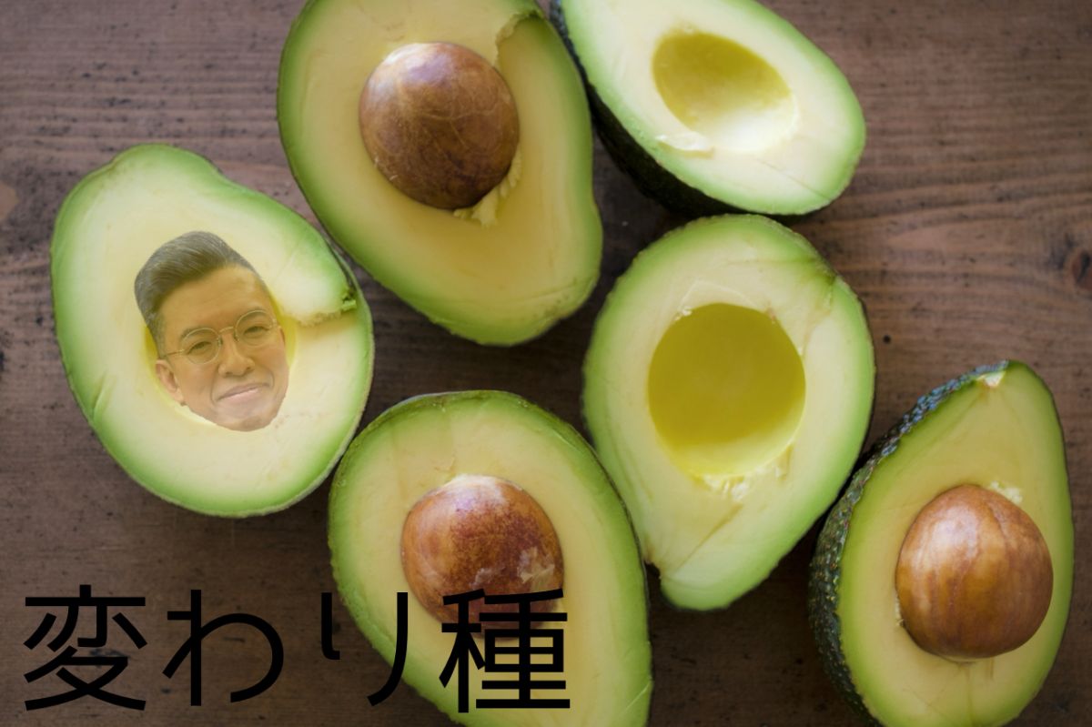 変わり種