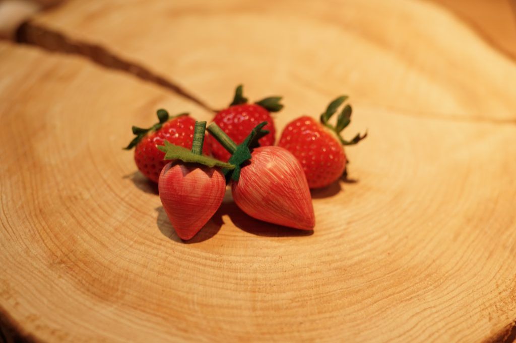 お宝ファイルNO.156　地域おこし協力隊　藤田つくし　さん