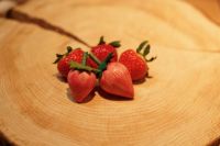 お宝ファイルNO.156　地域おこし協力隊　藤田つくし　さん