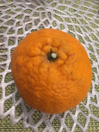 2月20日（月）Day by Day 