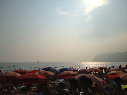 7月17日（月）今日の1コマ　