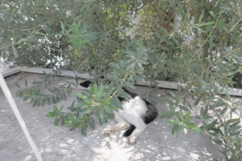 8月27日(金) 今日の1コマ♪