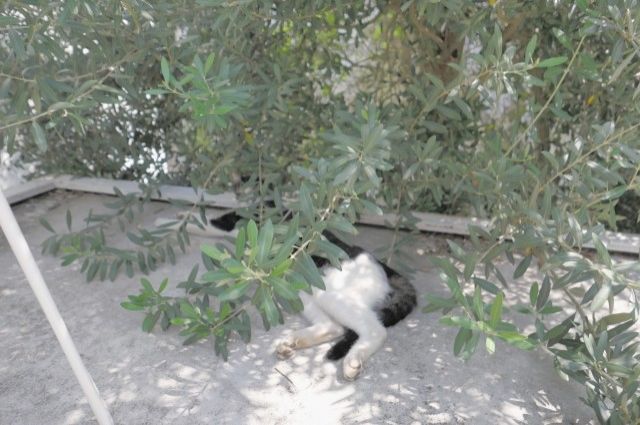 8月27日(金) 今日の1コマ♪