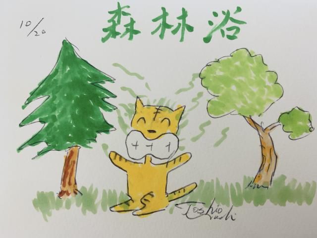 森林浴してますか！？