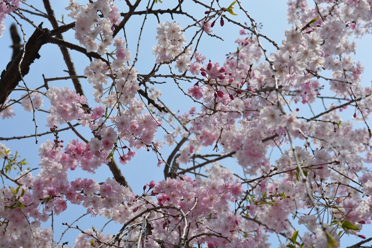 3月17日（火）今日の1コマ
