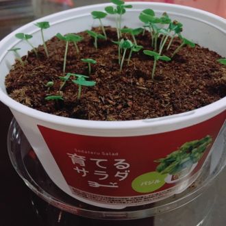 2月24日（水）今日の1コマ