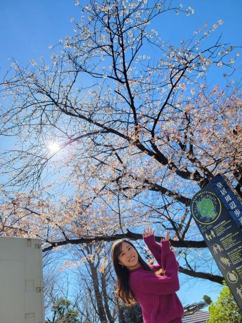 3月27日（水）Song List♪