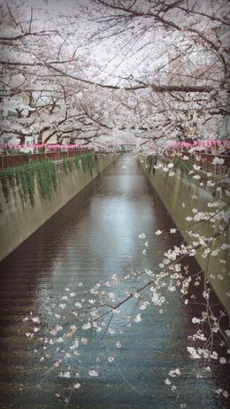 #78【USG】サンキュ、スマホ。再び・・・