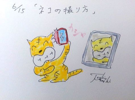 ６月15日（月）のデリフラは・・・・