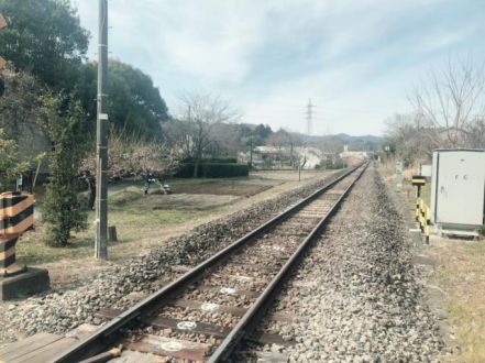 2月25日(火)今日の1コマ