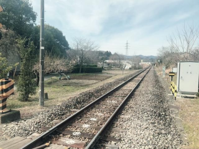 2月25日(火)今日の1コマ