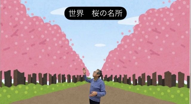 世界 桜の名所