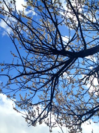 3月11日（水）今日の1コマ