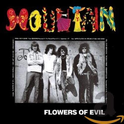 1192要のある音楽【彼が奏でるメロディアスなブルースは唯一無二のギターでした！・・・レスリー・ウェスト追悼大特集！！】