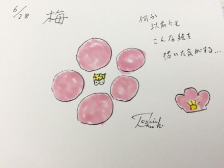 6月28日（火）のデリフラは…