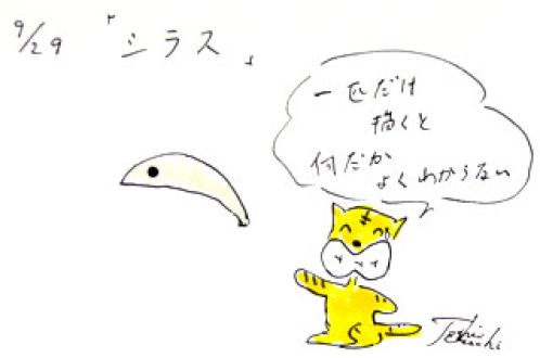 9月29日（月）のデリフラは・・・・