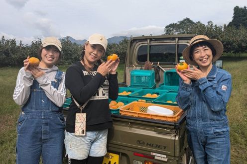 松本香さん（庄内柿、いちじく）スピンオフ版