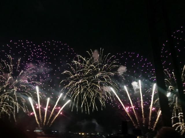 7月8日（水）今日の一コマ