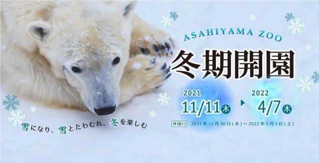 冬の動物園♪