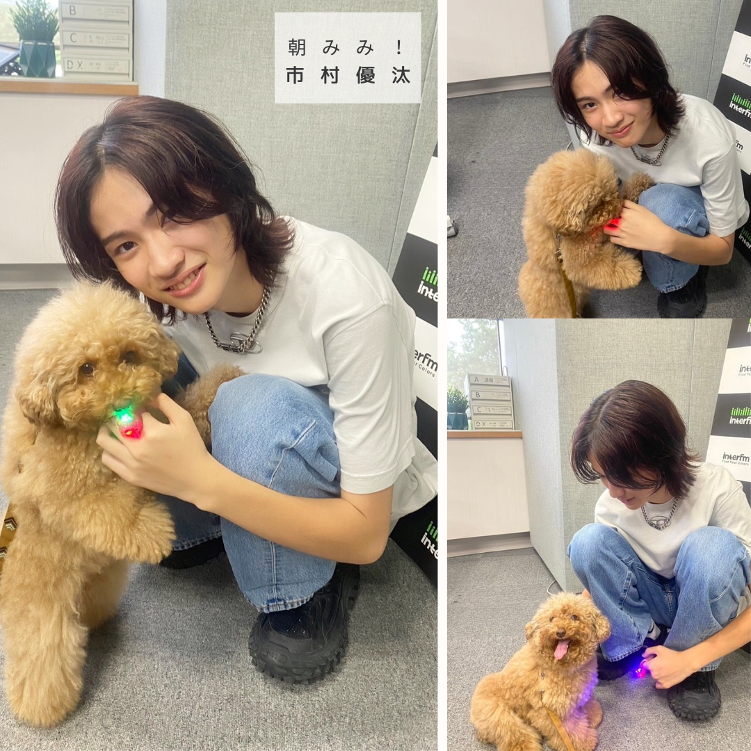 愛犬家　俳優 市村優汰さん ２週目の登場！mapiの愛犬テコが優汰さんを独占