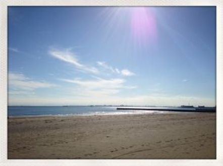 藤井悠のいただき＠海！良い天気！！