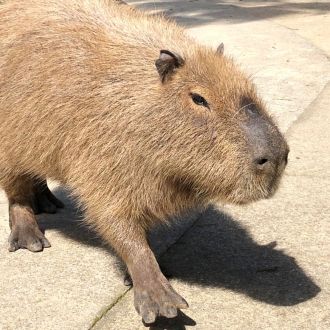 第４７回：「長崎バイオパーク」①