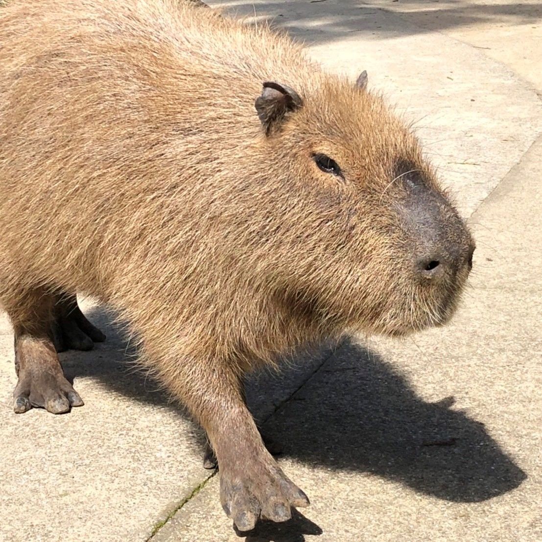 第４７回：「長崎バイオパーク」①