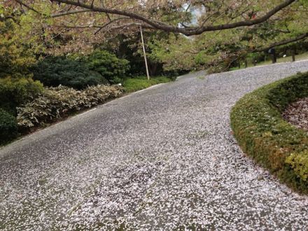 4月8日（金）simple style