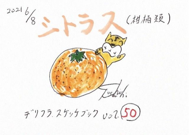 シトラスって何！？