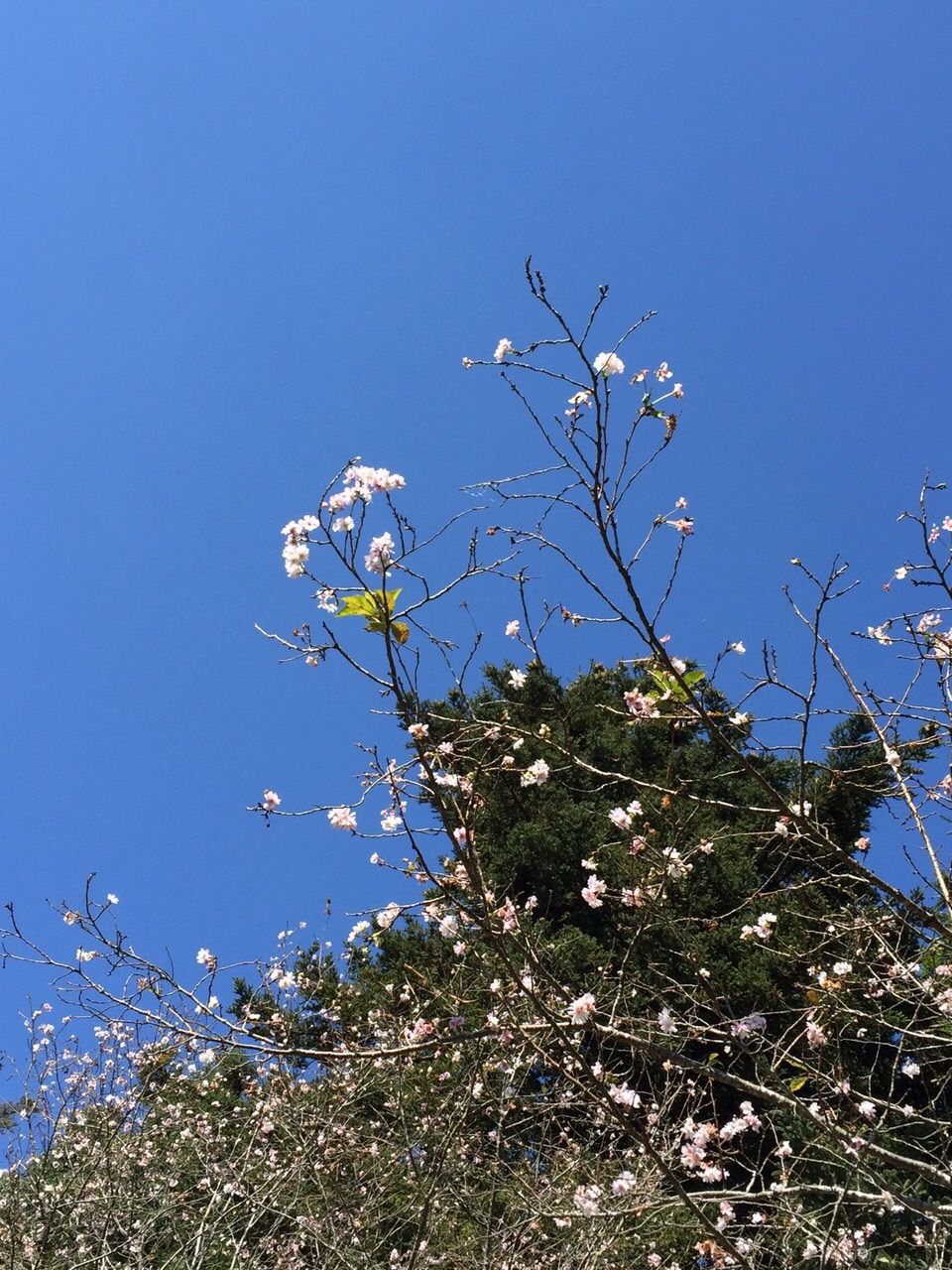 11月12日（木）今日の1コマ