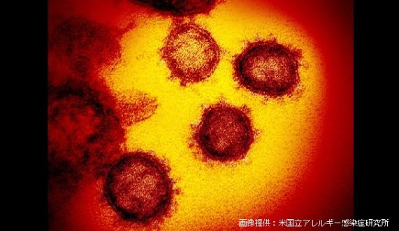 【第215回】北朝鮮の新型コロナウィルス（続報）