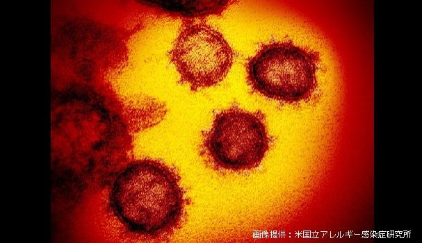 【第215回】北朝鮮の新型コロナウィルス（続報）